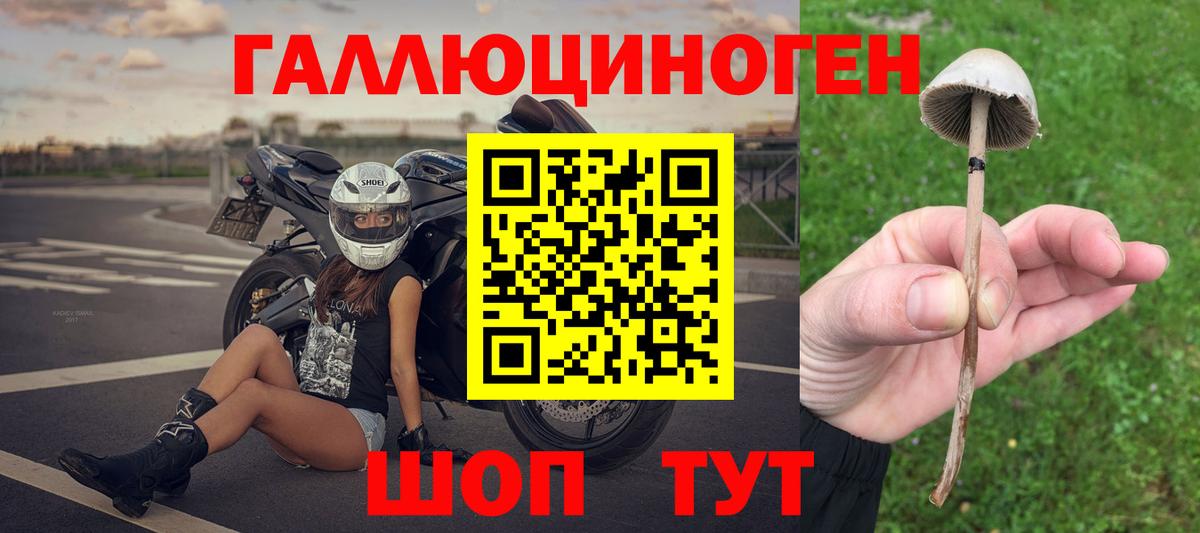 Галлюциногенные грибы ЛСД Луга